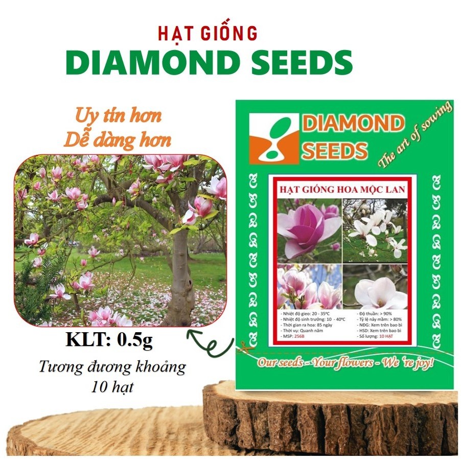 Hạt Giống Hoa Mộc Lan (gói 5 màu hạt, đã kích mầm) - GÓI HÃNG UY TÍN