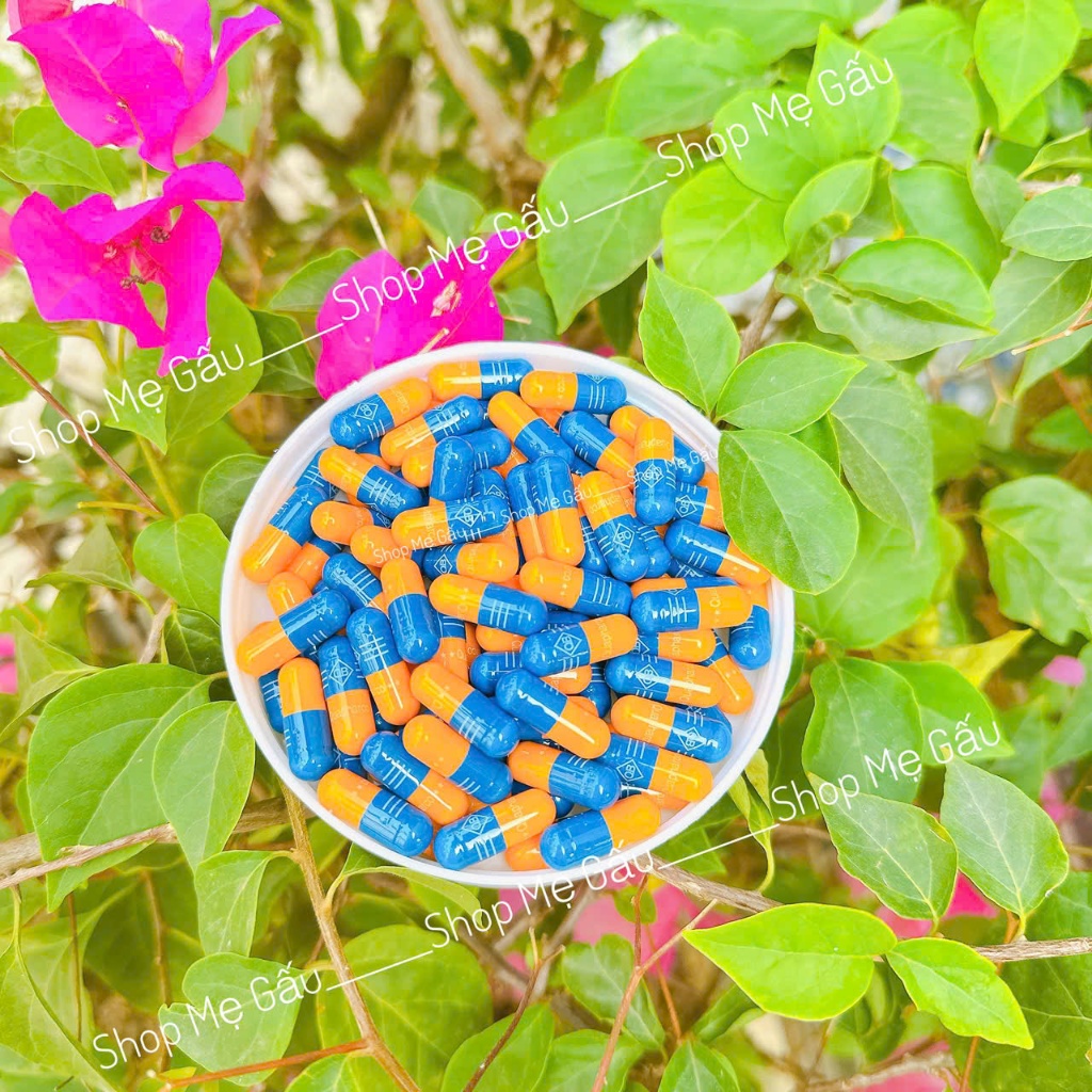 Combo 10v Nhộng cấy trắng