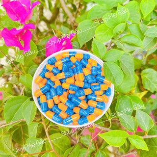 Combo 10v Nhộng cấy trắng