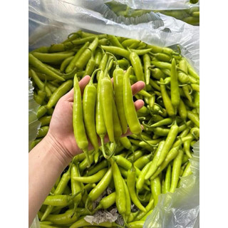 500g ỚT SỪNG XANH (ĐẶC SẢN HUẾ ) rất cay thơm