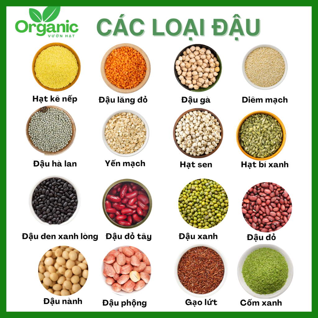 Hạt ăn dặm cho bé, hạt nấu sữa Vườn Hạt Organic cao cấp chất lượng