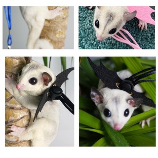 Dây dắt hamster, thỏ, Sóc , đuôi mập, chuột lang