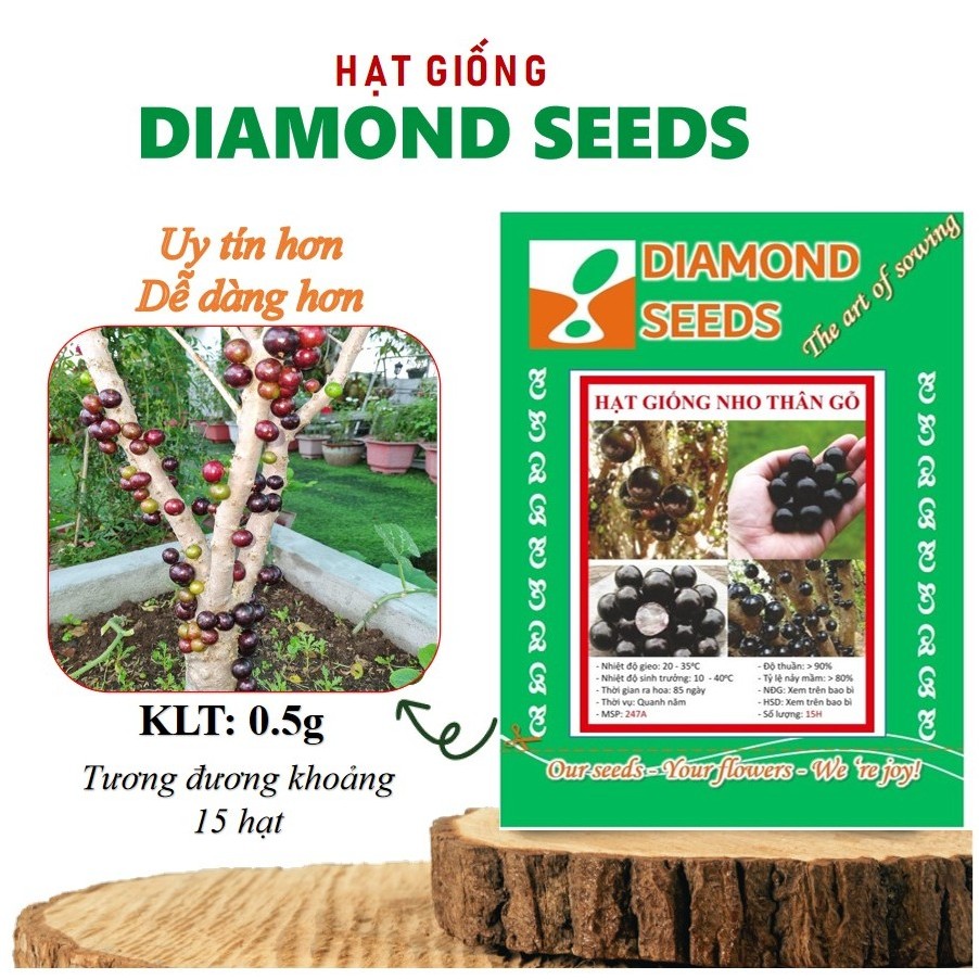 Hạt Giống Nho Thân Gỗ (Đã ủ kích mầm sẵn tỉ lệ nảy mầm cao) - GÓI HÃNG UY TÍN