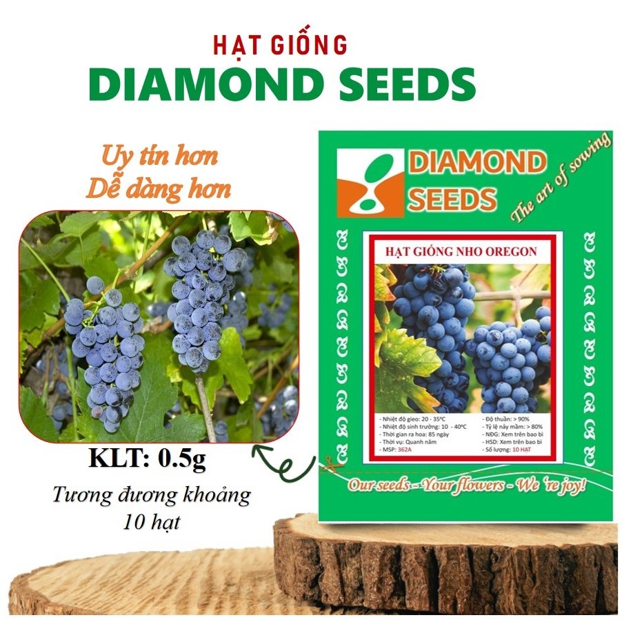 Hạt giống nho Oregon màu sắc đặc biệt siêu ngọt (Đã ủ kích mầm sẵn tỉ lệ nảy mầm cao) - GÓI HÃNG UY TÍN