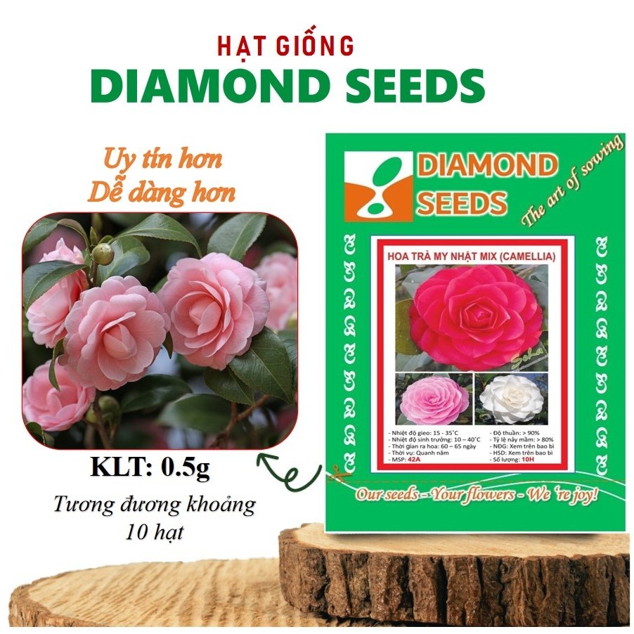 HẠT GIỐNG TRÀ MY MIX MÀU - ĐÃ Ủ KÍCH MẦM TỶ LỆ NẢY MẦM CAO HƠN - GÓI HÃNG UY TÍN