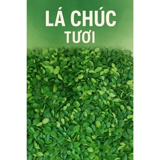 La chúc tươi 100g.lá chanh thái. hàng tươi mới.lá số 8. Hàng mói hái mỗi ngày