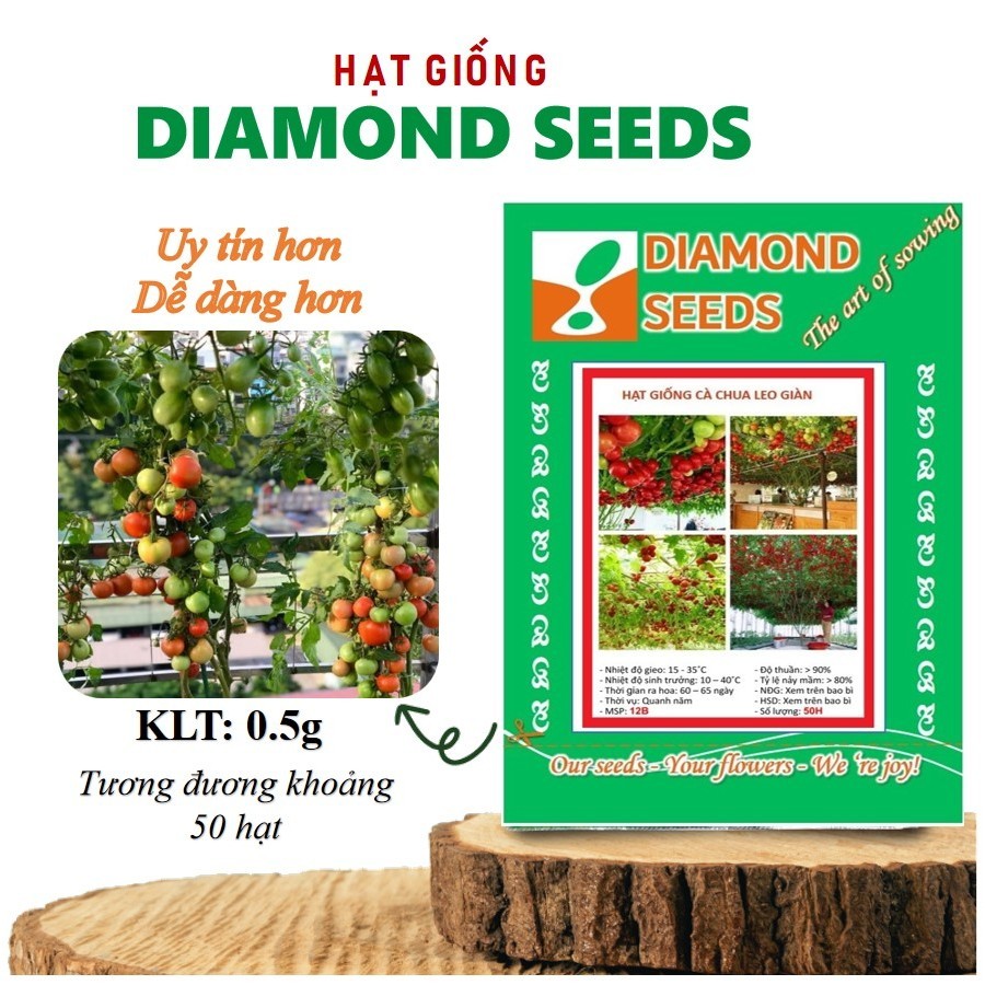 HẠT GIỐNG CÀ CHUA LEO GIÀN CÀ CHUA BẠCH TUỘC VÔ HẠN - GÓI HÃNG UY TÍN