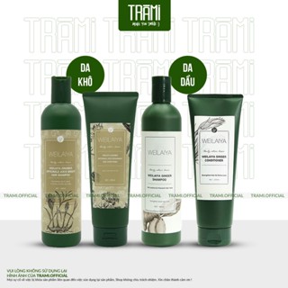   TẶNG SET MINI  Weilaiya Bộ Dầu Gội Xả Tinh Chất Gừng Tươi Và Hà Thủ Ô Hỗ Trợ Mọc Tóc Chắc Khỏe. 