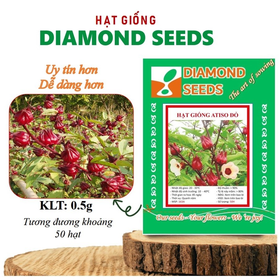[HÀNG CHÍNH HÃNG] Hạt giống Hoa Atiso đỏ ( Bụt giấm 50 HẠT )
