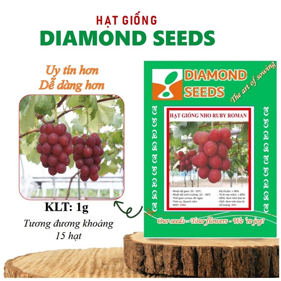 Hạt giống Nho Ruby Roman (Đã ủ kích mầm sẵn tỉ lệ nảy mầm cao) - GÓI HÃNG UY TÍN