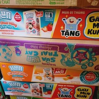 Thùng sữa chua uống tiệt trùng Kun 110