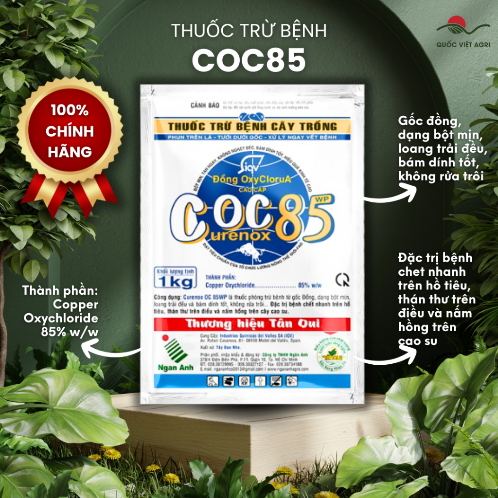 Thuốc trừ nấm bệnh trên cây kiểng COC85 (gói 1KG)