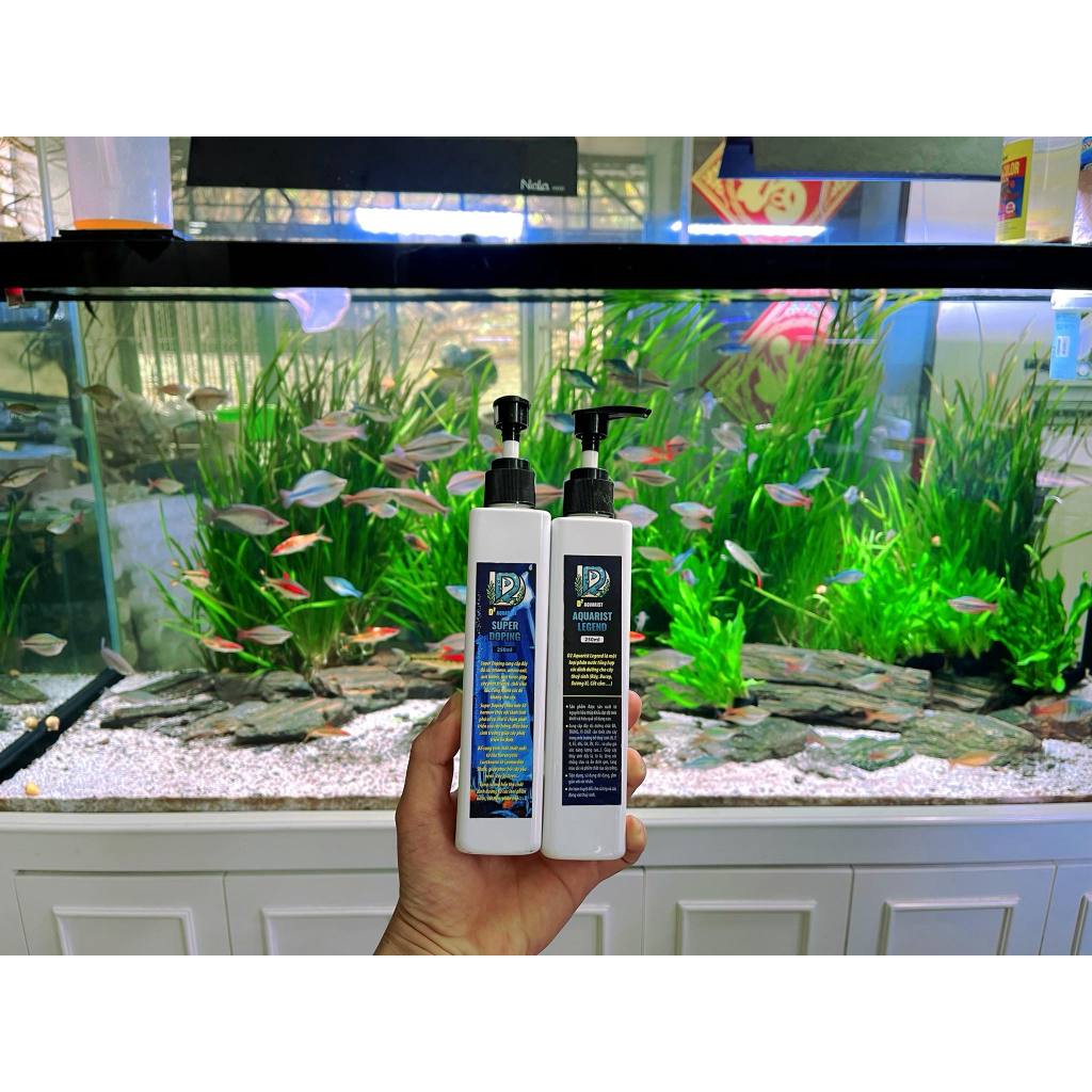 Phân nước và Doping D2 Aquarist