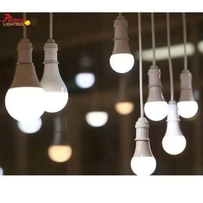Đèn bulb điện Mayor Wolf bulb chòn