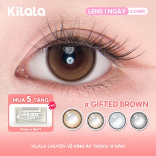  Kính áp tròng Kilala màu xám  Gifted Brown DIA 14.0mm lens cận 1 ngày có độ  0-7  2 chiếc 