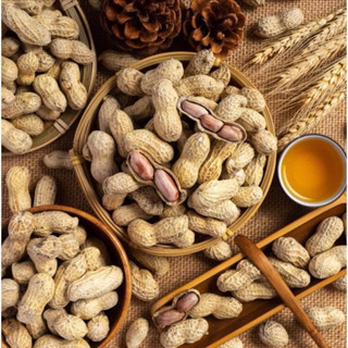  1Kg Lạc Củ Tầm Vị Lạc Rang Nguyên Vỏ Tẩm Vị  Đậu Phộng Nguyên Vỏ Rang Chín Tẩm Vị 