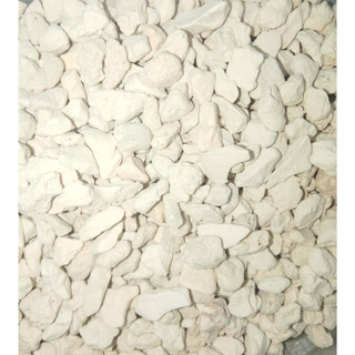Đá trân châu đá Perlite trồng sen đá cây cảnh giá thể trồng cây 500g