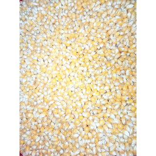 Bắp Rang Bơ Bắp Mỹ 1kg Thơm Ngon Béo