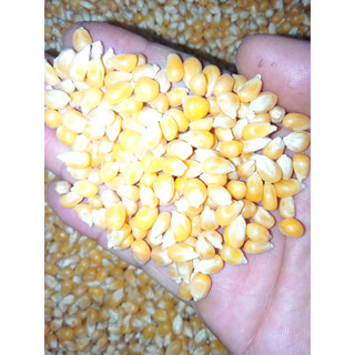 Bắp Rang Bơ Bắp Mỹ 1kg Thơm Ngon Béo