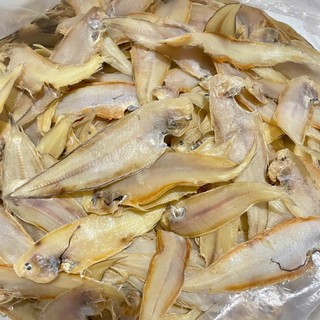Khô Cá Lưỡi Trâu (Cá Bơn) Cà Mau Size Nhí Vị Mặn Vừa Ăn - Vựa Khô Hân Nhi