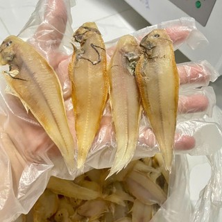 Khô Cá Lưỡi Trâu (Cá Bơn) Cà Mau Size Nhí Vị Mặn Vừa Ăn - Vựa Khô Hân Nhi