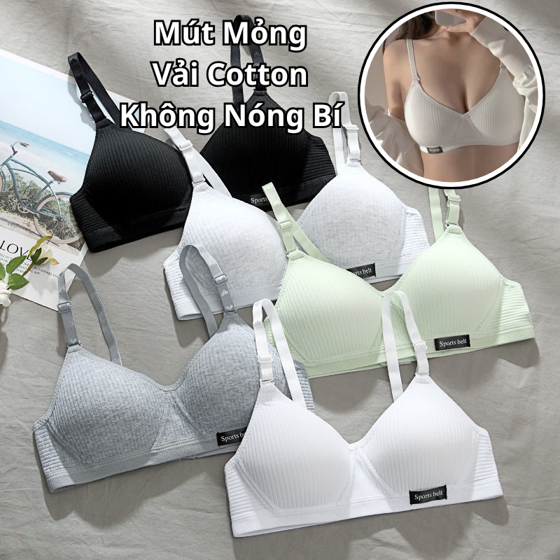 Áo Lót Cotton Đệm Mỏng 1cm Sports Belt Áo Ngực Không Gọng Mã 01