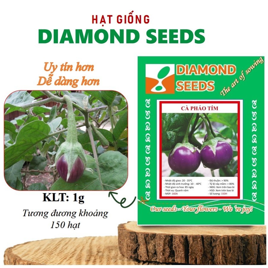 [HÀNG CHÍNH HÃNG] 1GR - HẠT GIỐNG CÀ PHÁO TÍM