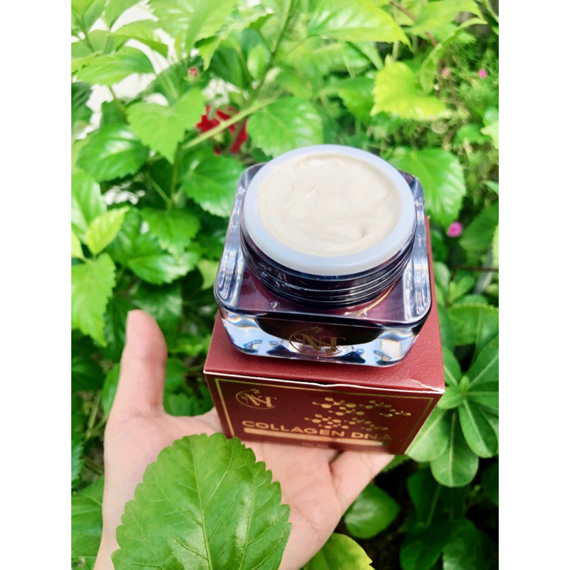 Top 10 Collagen Tươi Nhật Bản Retro Cho Làn Da Rạng Rỡ Năm 2026