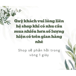 Set móng mẫu oval ( 2 cái )