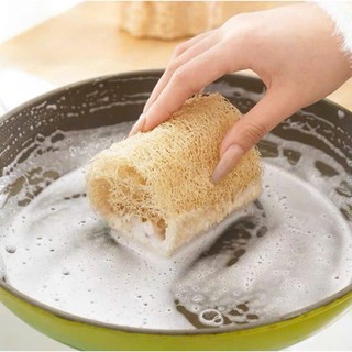 Xơ mướp tự nhiên rửa bát, xơ mướp dùng làm bông tắm, tẩy tế bào chết, massage đa năng