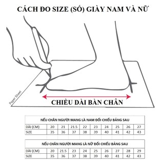 Giày  AllStar Classic Cổ Thấp Nữ Xám Nhạt