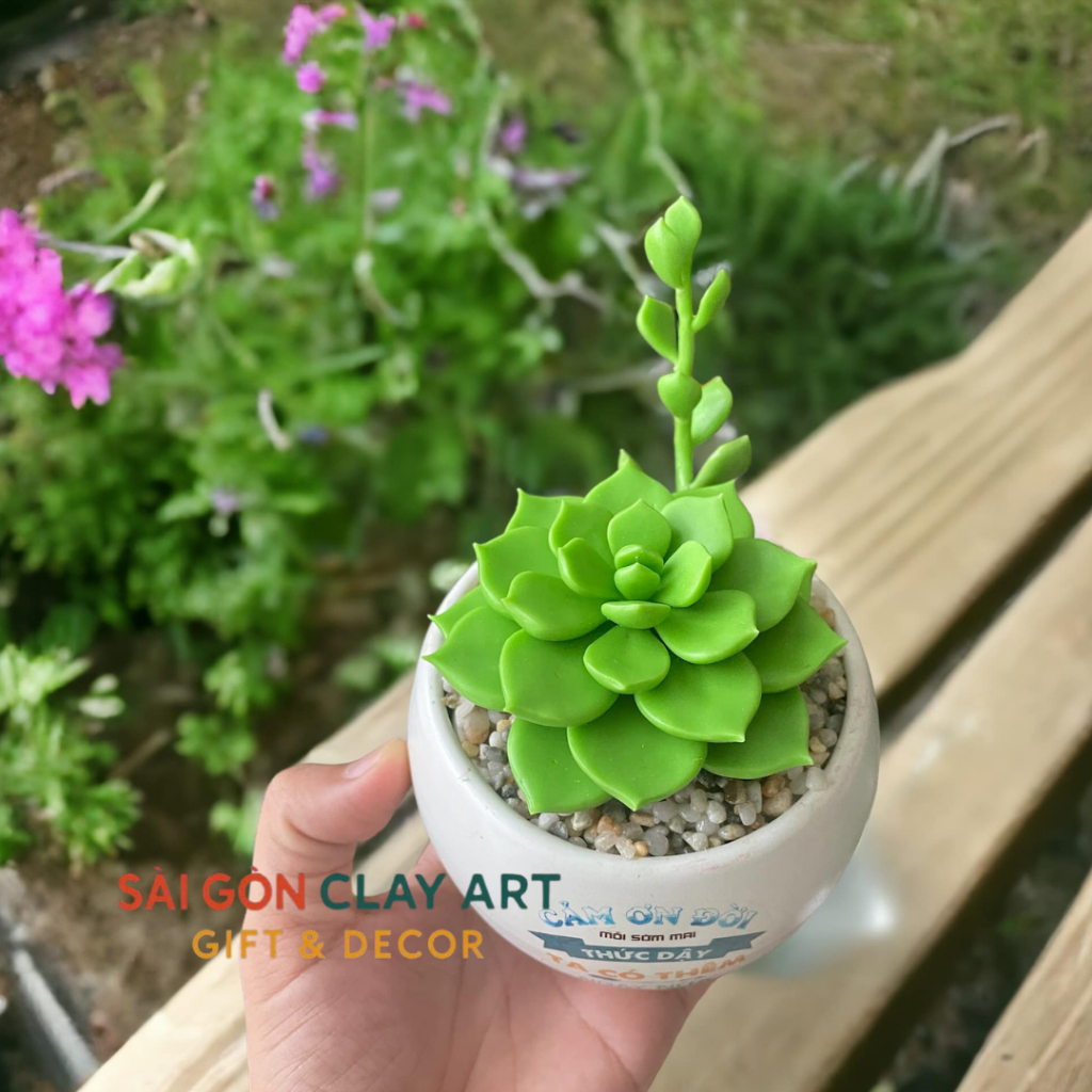 Sen đá bằng đất sét chậu mini đường kính 7cm