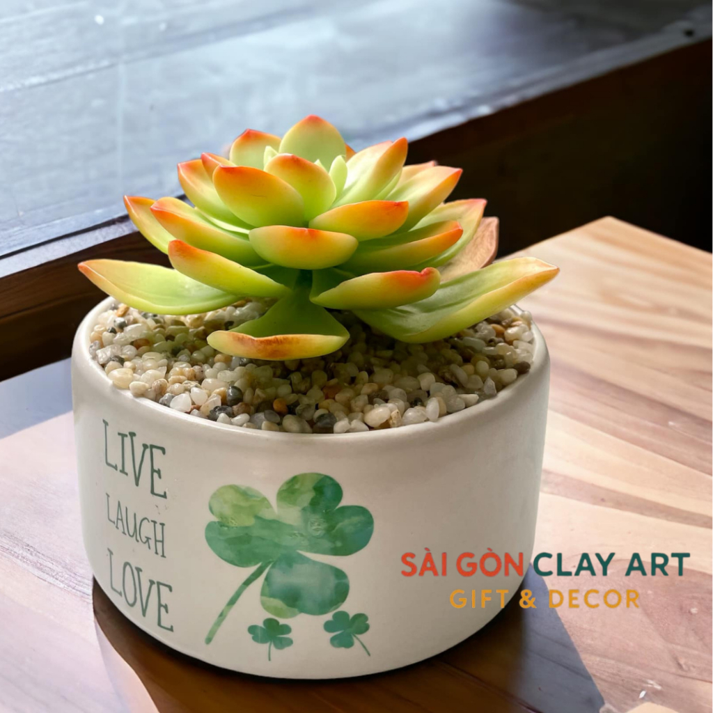 Sen đá đất sét chậu sứ đường kính 10cm