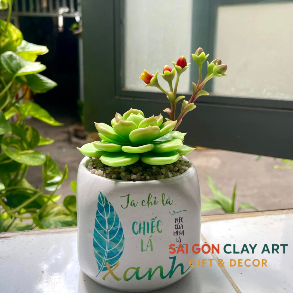 Sen đá đất sét có hoa chậu sứ cao 15cm