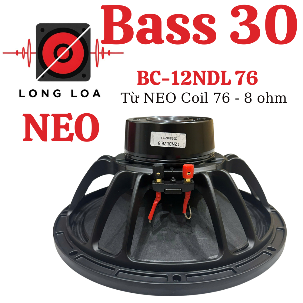 Loa Bass 30 B&C Từ NEO coil 76 8ohm 12NDL76