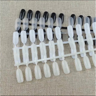 Móng vỉ bầu tập vẽ nails bịch 240 móng đủ màu trong- tự nhiên - đen - Trắng - Kitty Nails Supply