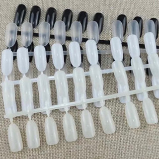 Móng vỉ bầu tập vẽ nails bịch 240 móng đủ màu trong- tự nhiên - đen - Trắng - Kitty Nails Supply