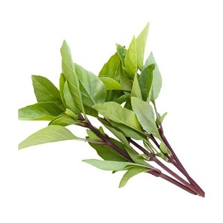 Hạt giống rau Húng Quế Thân Tím Cực Thơm (Húng Chó, Húng giổi, É Quế, Hương Thái)