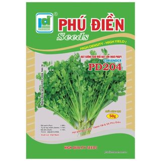 Hạt giống rau Mùi Ta Tía Bạc Liêu cao sản_Rau Mùi Cồn Tía_Ngò Rí Nam Định cực thơm
