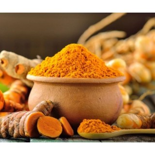 Củ Nghệ Vàng, Chậu Nghệ Vàng