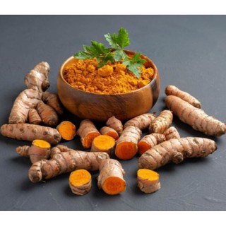 Củ Nghệ Vàng, Chậu Nghệ Vàng
