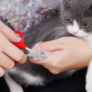 Kéo cắt móng nhỏ, kìm cắt cho thú cưng