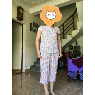 BỘ LANH VIỆT THẮNG ( HÀNG CÔNG TY)