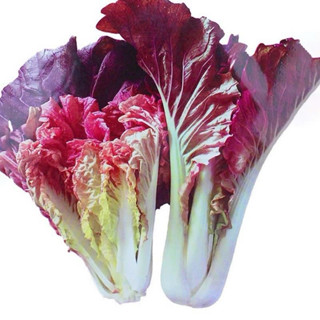 Hạt Giống Cải Dúm Tím Bốn Mùa Thu Sớm - Gói 500 Hạt - GM 85%