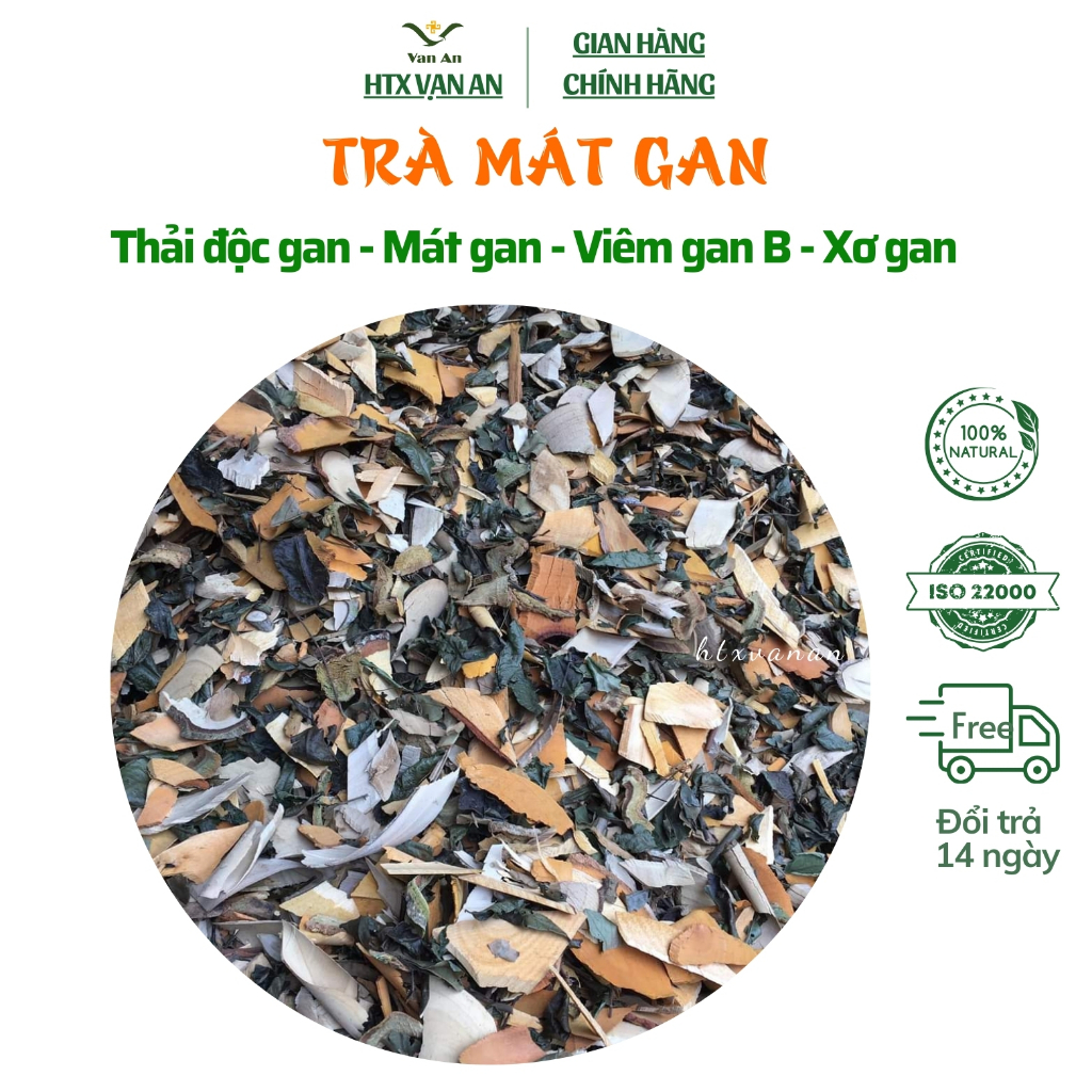 Trà Cây Lá Gan Lá Mát Gan Rừng Chuẩn tây Bắc Hiệu Quả  Thanh Lọc Cơ Thể