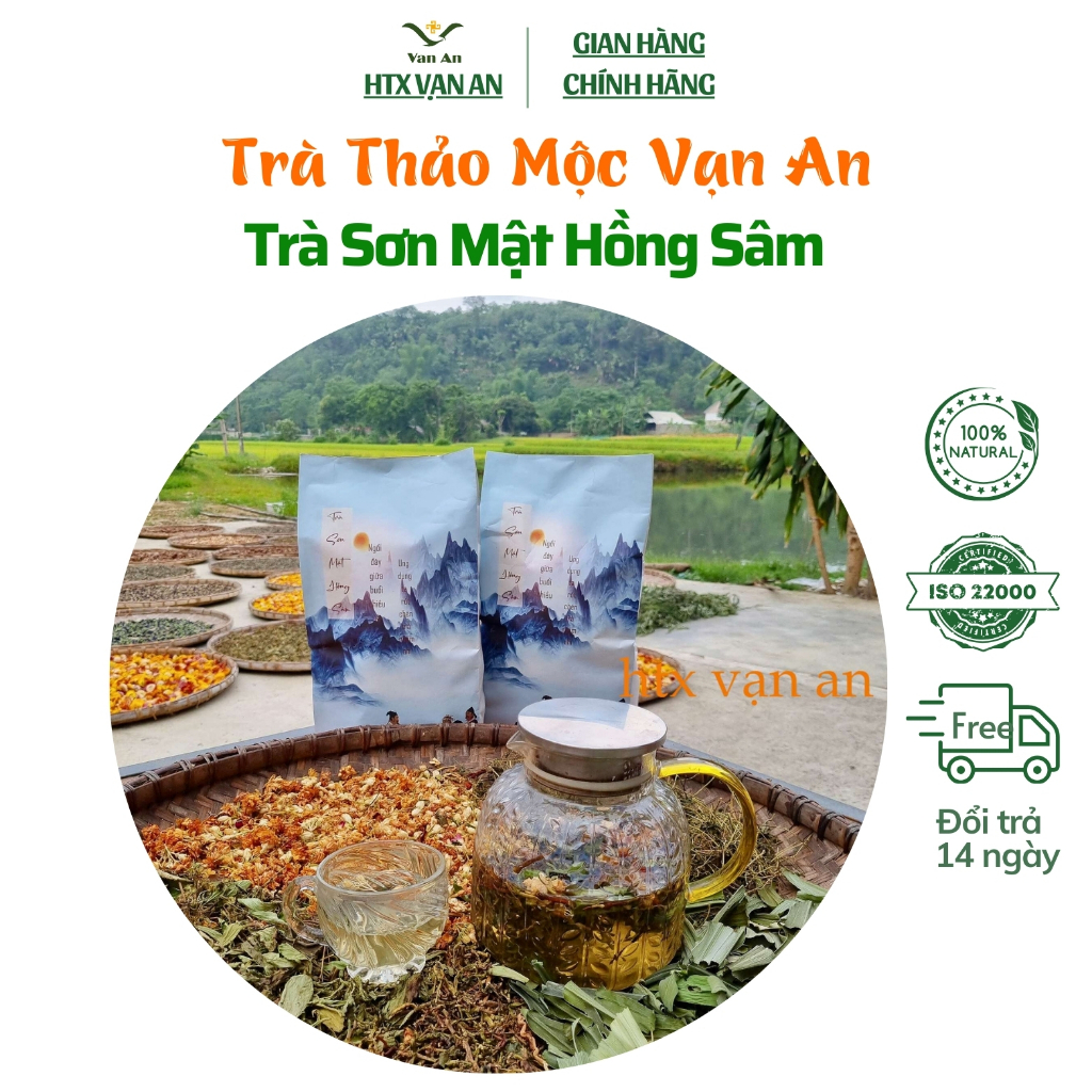 Trà sơn mật hồng sâm Sa Pa kết hợp từ 5 loại thảo dược quý, thanh nhiệt, giải độc, ngủ ngon