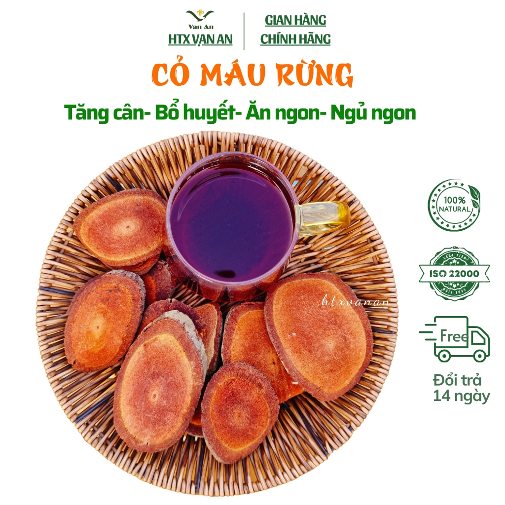 Trà Cỏ Máu Thân To Chuẩn Rừng Già Vạn An Bổ Máu Tăng Cân Bổ Huyết Đẹp Da