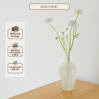 Lọ Hoa Thuỷ Tinh Phủ Mờ Bình Hoa Thuỷ Tinh Lọ Cắm Hoa Decor Trang Trí 