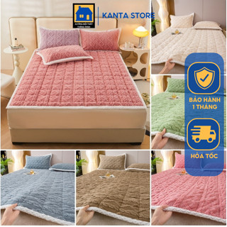  Thảm trải giường lông cừu HOMIES Bedding & Décor 10 Màu Xu Hướng 2024 nỉ nhung đa năng 3 lớp - Đủ Kích Thước 