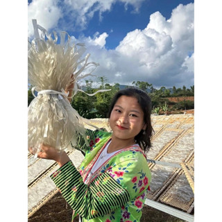 [Đặc sản Điện Biên] Miến dong thái tay Sùng Bầu chuẩn đặc sản cao cấp Điện Biên ngon số 1